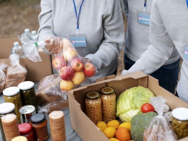 Guía Completa para Acceder a Programas de Ayuda Alimentaria en EE.UU.